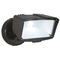 black all-pro LED floodlight