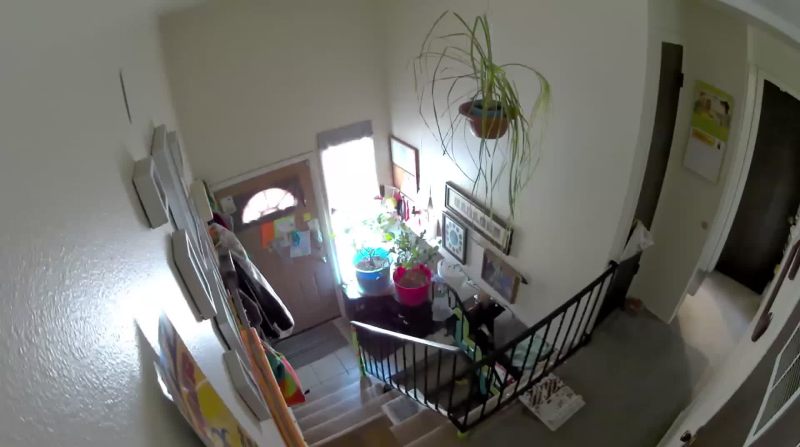 Arlo Pro 4 Snapshot Day