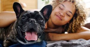 dog laying on bed with woman