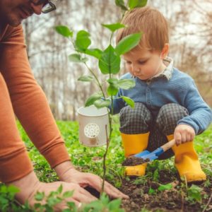 father and little boy planting tree