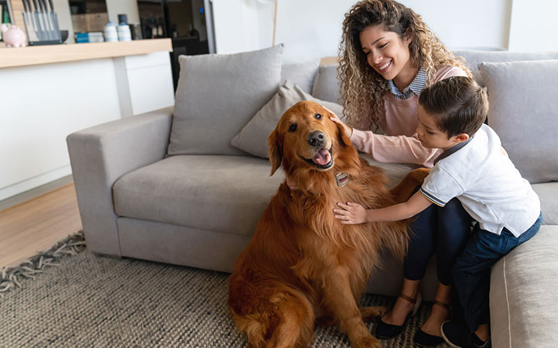 Woman and boy petting dog