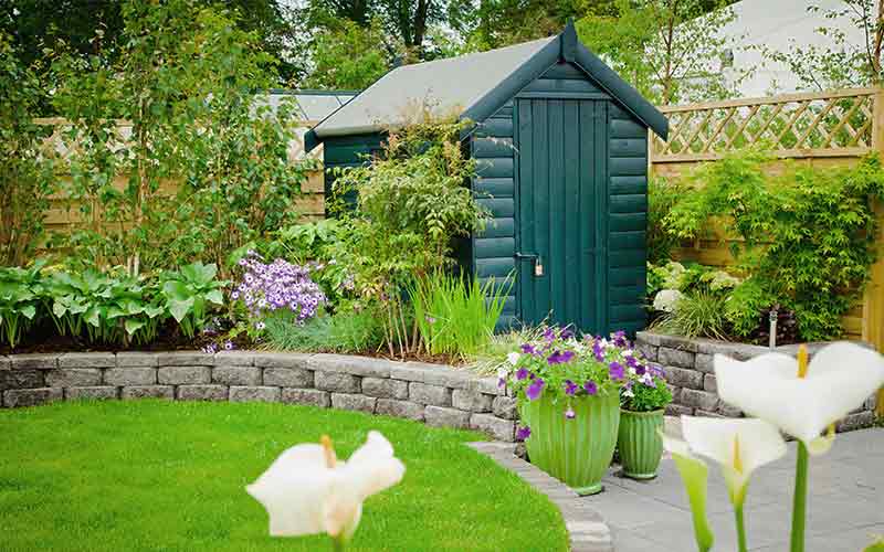 Lock on backyard shed