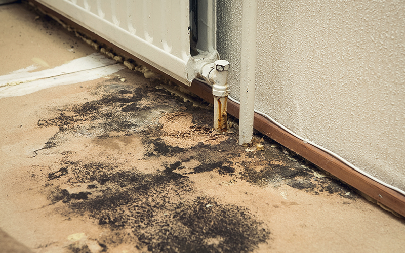 Black mold on a radiator