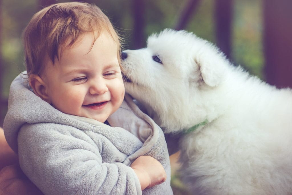 puppy giving baby kisses