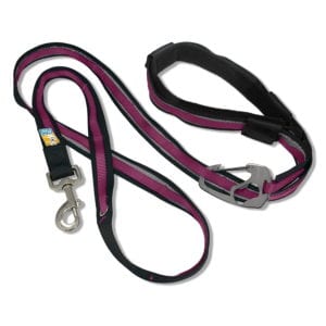 kurgo hands free dog leash