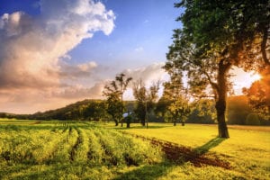 Beautiful evening scene in rural Kentucky