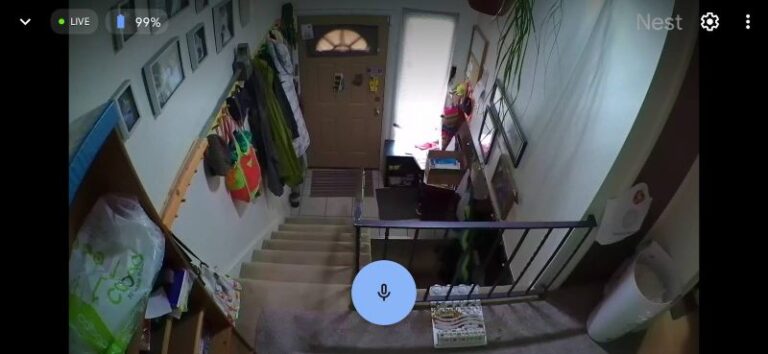 Nest Cam Daytime Video Quality