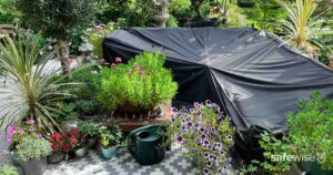 furniture outside with covers surrounded by plants