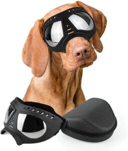 dog goggles