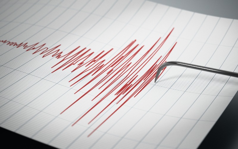 Seismograph recording activity