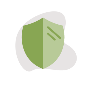 shield icon