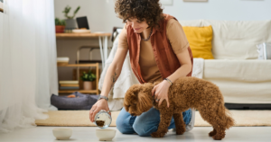 pet-sitter feeding puppy